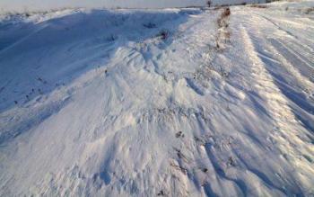 295649_sneg-ns-zrenjanin-beta_f