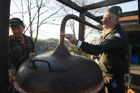 405944_toma-nikolic-rakija01rasfoto-masanori-josida_ff