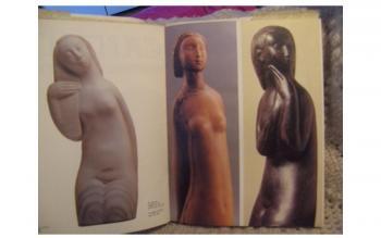 Sava-Sandic-vajar-monografija-Vera-Jovanovic_slika_XL_875327