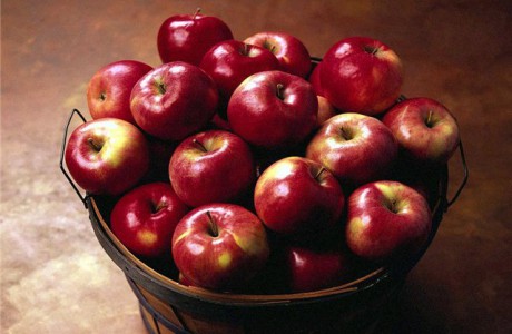 c4945c4fa9e7653cd1355456bbee17f1_thumb