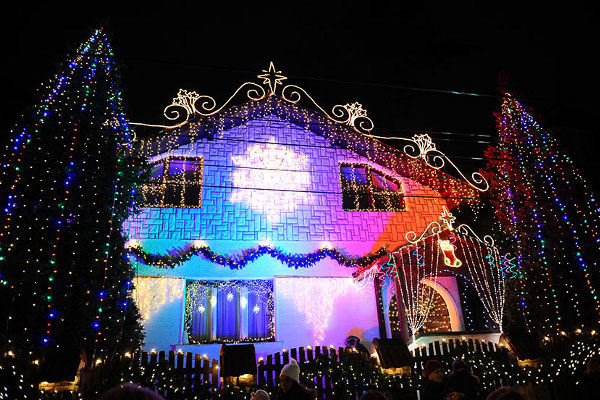 dom-belgrad-novyy-god-vuk-tomich