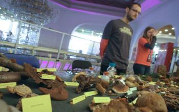 festival-nauke-201-1