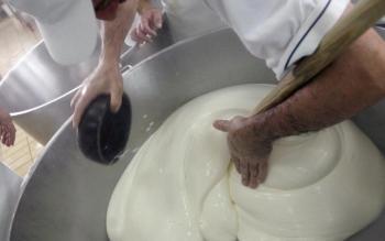 mlekara-kuc-izvoz-1328585176-89891